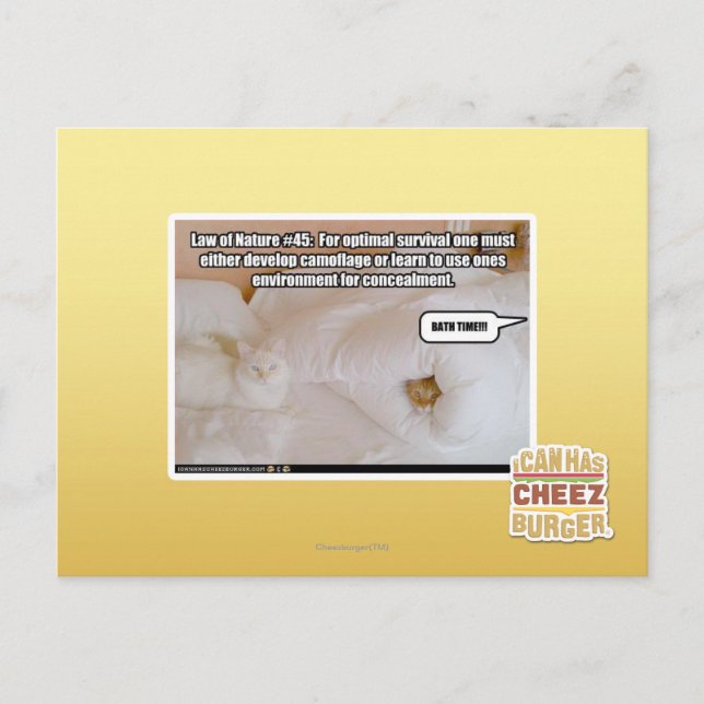 Law of Nature Postcard (Front)