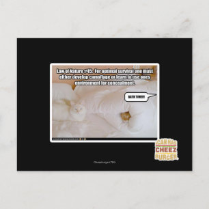 Law of Nature Postcard