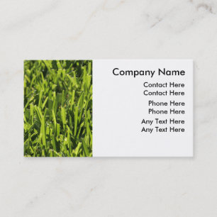 Lawn Care Business Cards