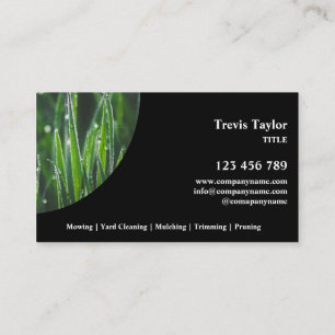 Lawn Care Landscape modern professional yard Busin Business Card