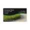 Lawn Care Services Design