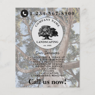 Lawn Mowing Landscaping Garden Lawn Care Tree Flyer