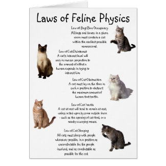 "Laws of Feline Physics"