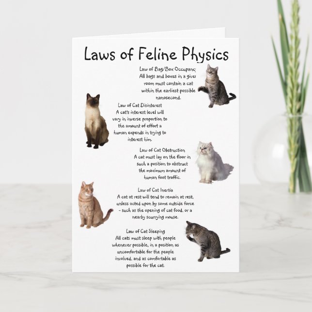 "Laws of Feline Physics" Card (Front)