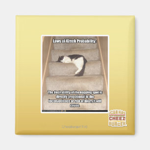Laws of Kitteh Probability Magnet