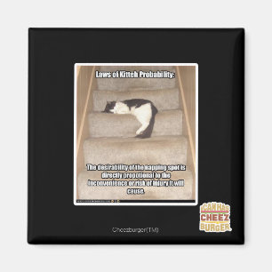 Laws of Kitteh Probability Magnet
