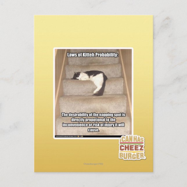 Laws of Kitteh Probability Postcard (Front)