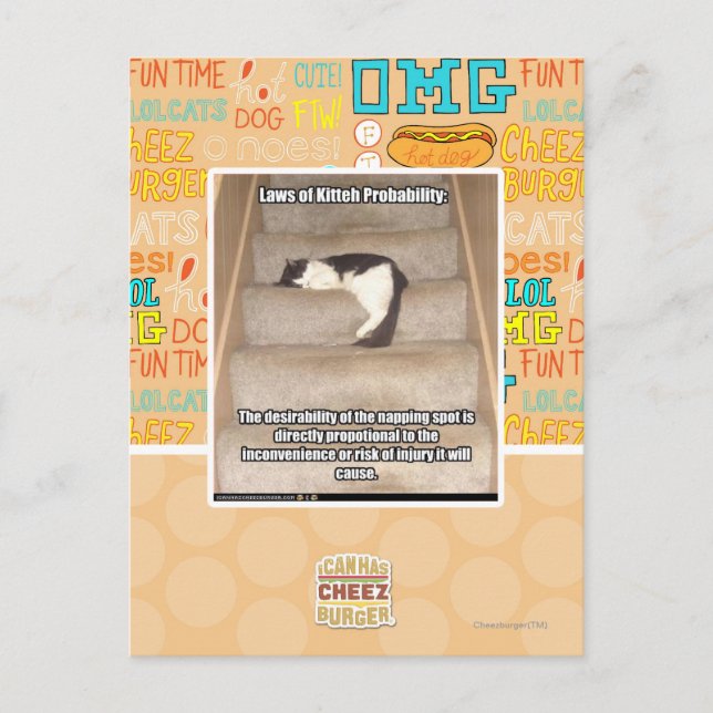 Laws of Kitteh Probability Postcard (Front)