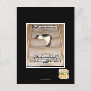 Laws of Kitteh Probability Postcard