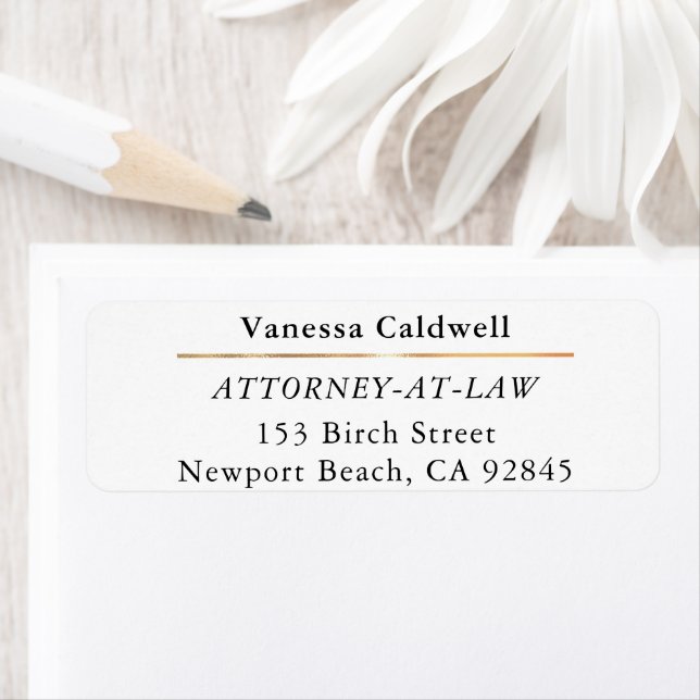 Lawyer Attorney At Law Classy White (En situation)