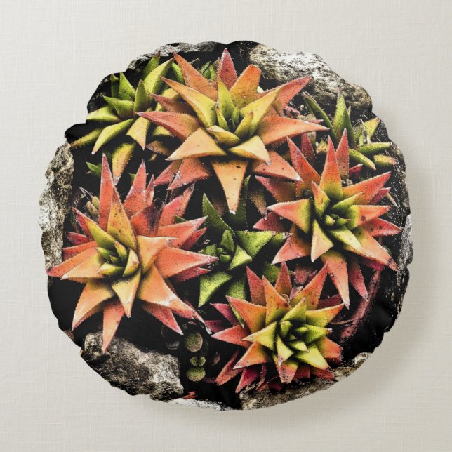 LAYERED STAR-SHAPED SUCCULENT PLANT/SALMON & GREEN ROUND PILLOW (Front)