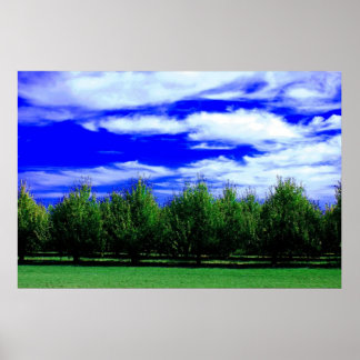 Layers of Nature Poster