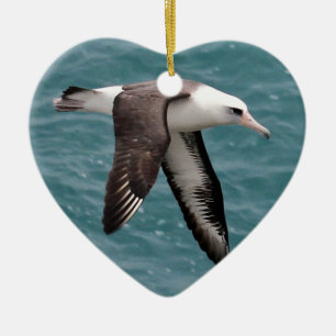 Laysan Albatross Ceramic Ornament