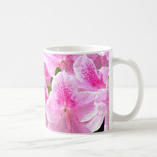 L'azalée fleurit tasse