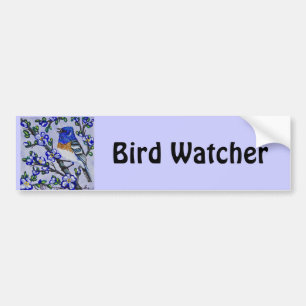 Lazuli Bunting Bumper Sticker
