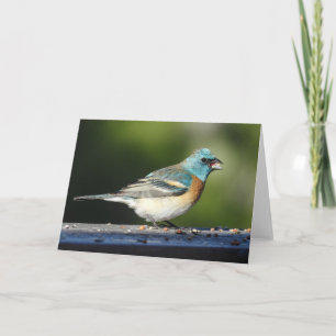 Lazuli Bunting Notecard