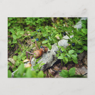 Lazy Acorn elf eating blueberries Postcard