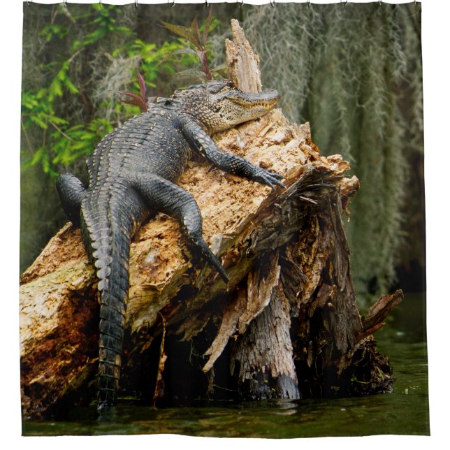 Lazy Alligator Douche rideau de DeGruy (Devant)