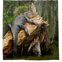 Lazy Alligator Shower Curtain by DeGruy