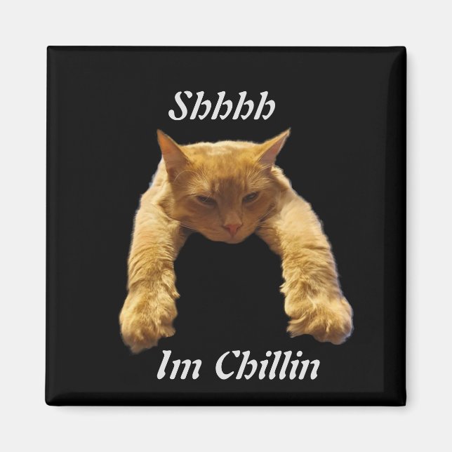 Lazy Brown Cat Chillin, Fridge Magnet (Front)