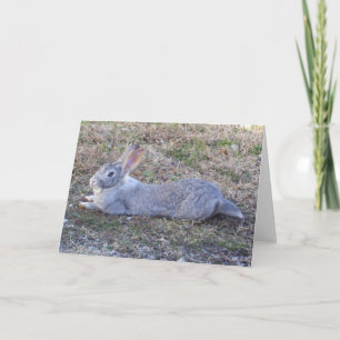 Lazy Bunny Greeting Card