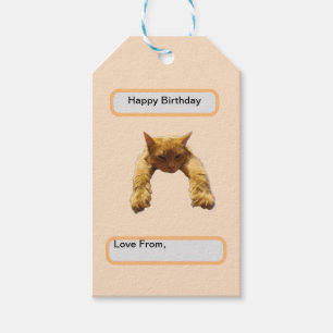 Lazy Cant Be Bothered Fluffy Ginger Cat, Birthday Gift Tags