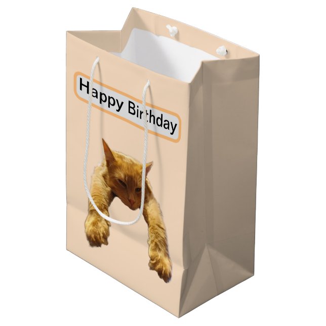 Lazy Cant Be Bothered Fluffy Ginger Cat, Birthday Medium Gift Bag (Front Angled)
