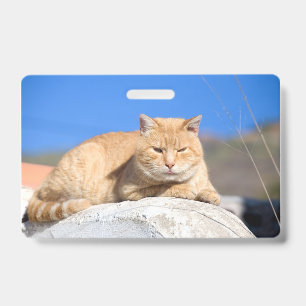 Lazy cat badge