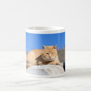 Lazy cat coffee mug