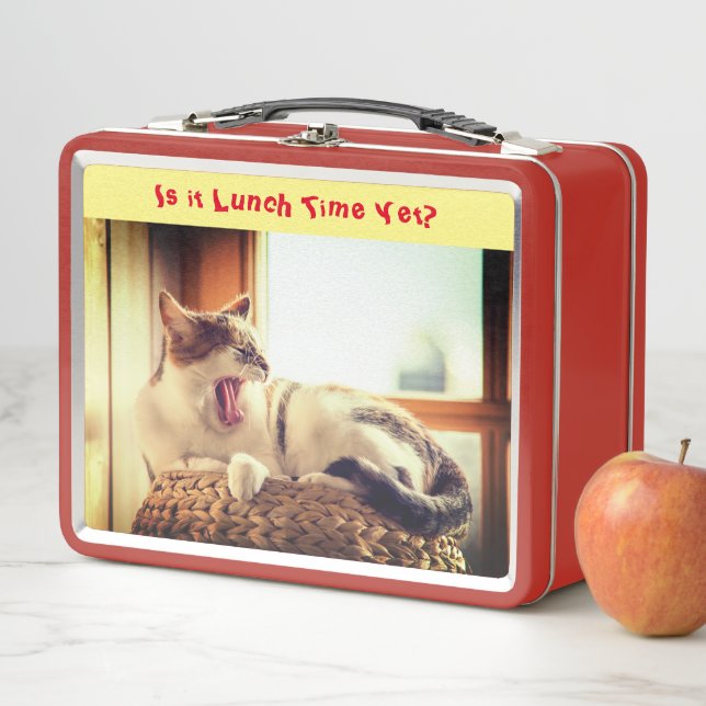 Lazy Cat Feline  Metal Lunch Box (In Situ)