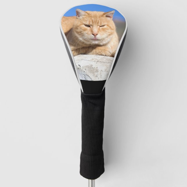 Lazy cat golf head cover (Front)