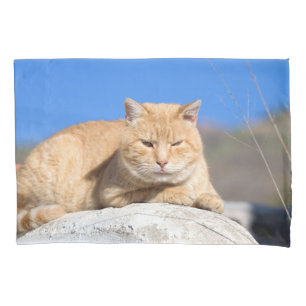 Lazy cat pillowcase