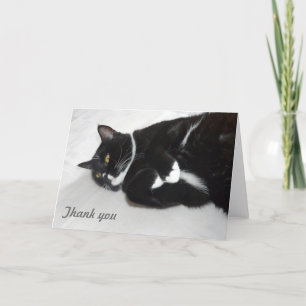 Lazy cat thank you card