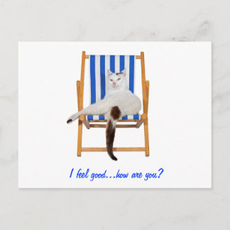 Lazy Day`s Postcard