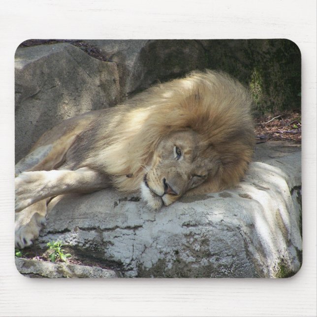 Lazy Days Mouse Pad (Front)