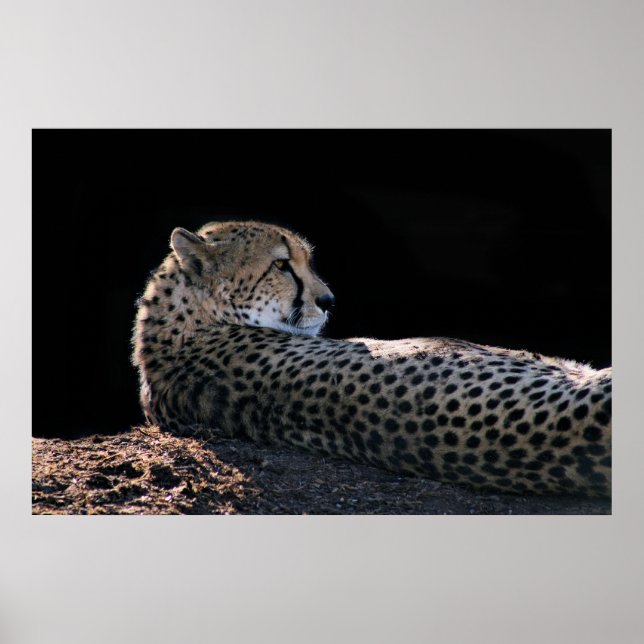 Lazy Days Poster (Front)