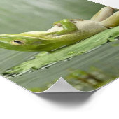 Lazy Frog Poster (Corner)