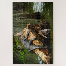 Lazy Gator Jigsaw Puzzle