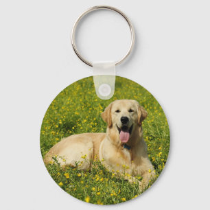 Lazy Golden Keychain