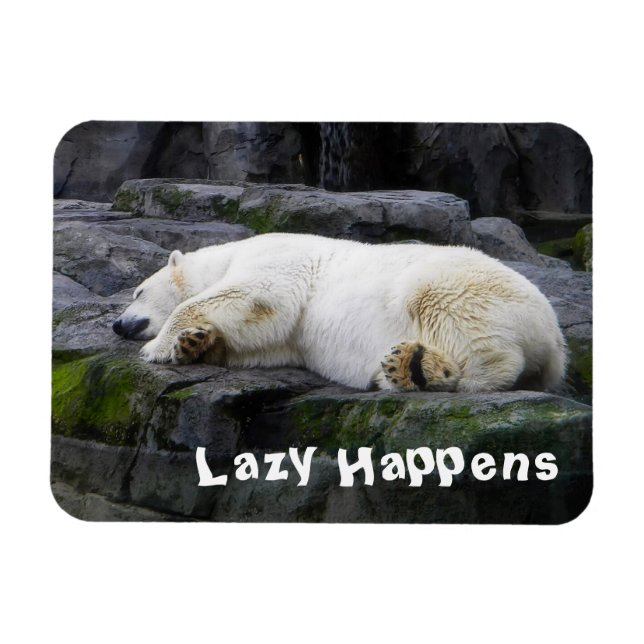 Lazy Happens Polar Bear Magnet (Horizontal)
