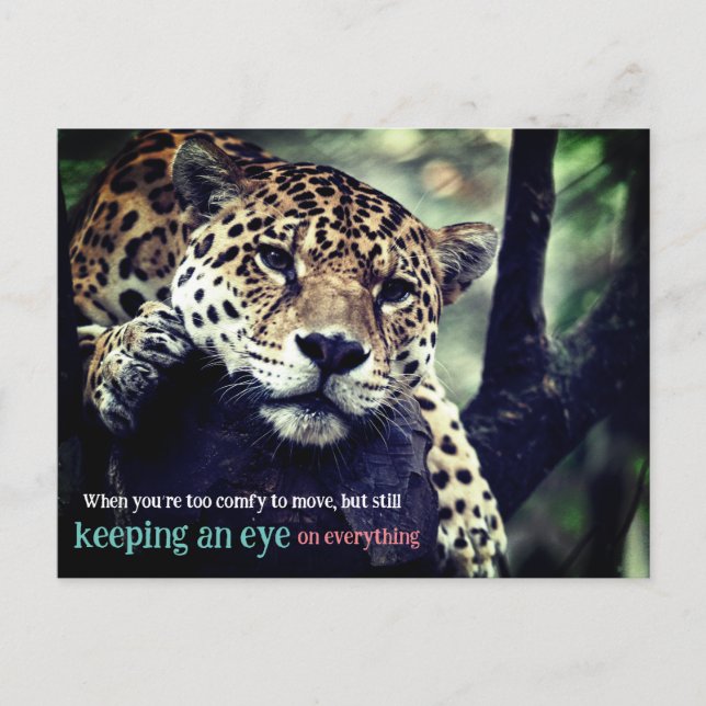 Lazy jaguar in tree photo holiday postcard (Front)