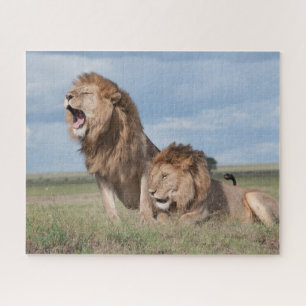 Lazy Lion Brothers on the Savannah Jigsaw Puzzle