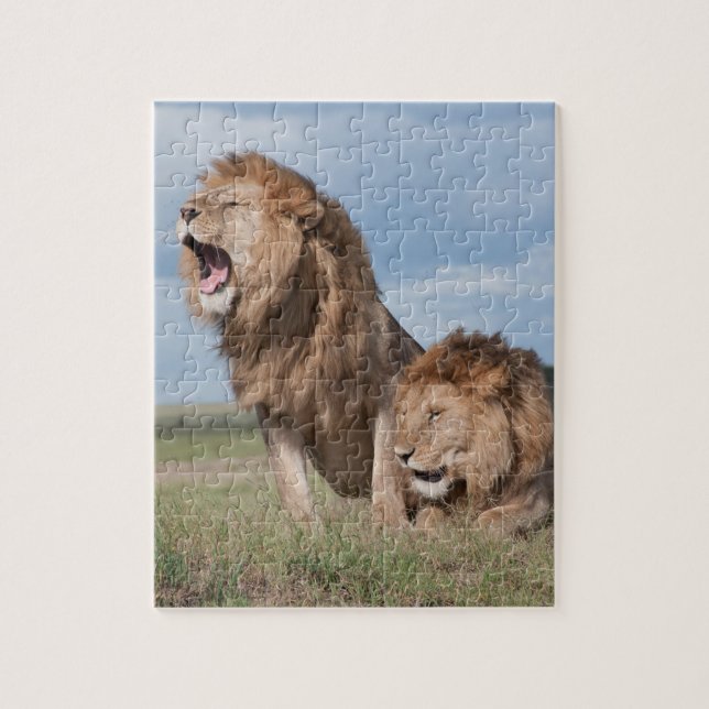 Lazy Lion Brothers on the Savannah Jigsaw Puzzle (Vertical)
