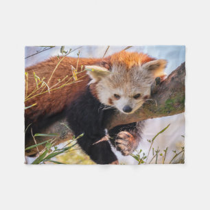 Lazy little red panda fleece blanket