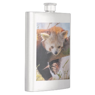 Lazy little red panda hip flask