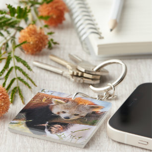 Lazy little red panda keychain