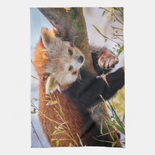 Lazy little red panda kitchen towel