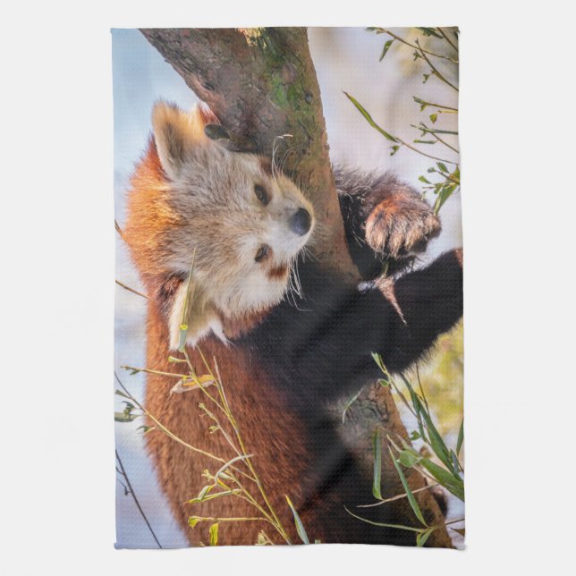 Lazy little red panda kitchen towel (Vertical)