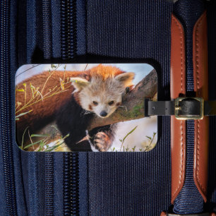 Lazy little red panda luggage tag