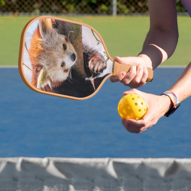 Lazy little red panda pickleball paddle (Insitu)